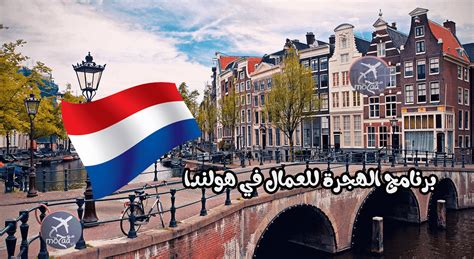 كيف تعيش في هولندا